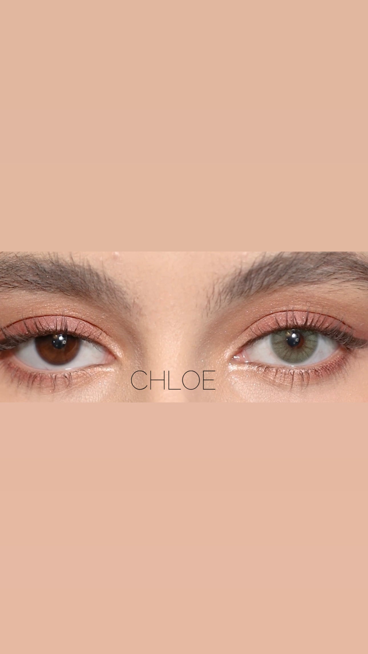 CHLOE Kontaktlinsen Jahreslinsen